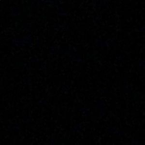 Meet your Posher, Addison